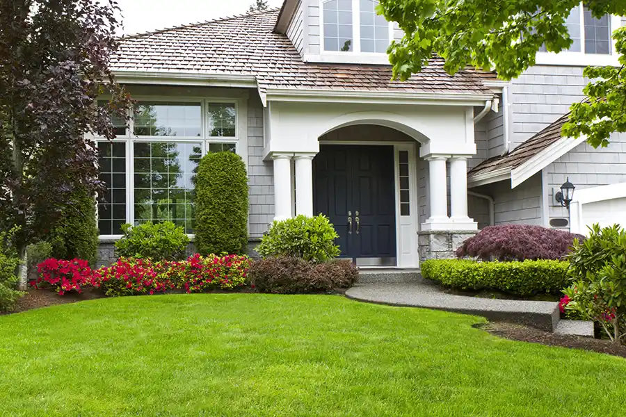 Reliable Grass Removal Grass Removal